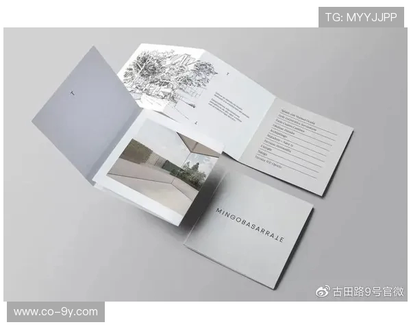 从圆形到艺术符号世界足球设计演变与文化审美之旅