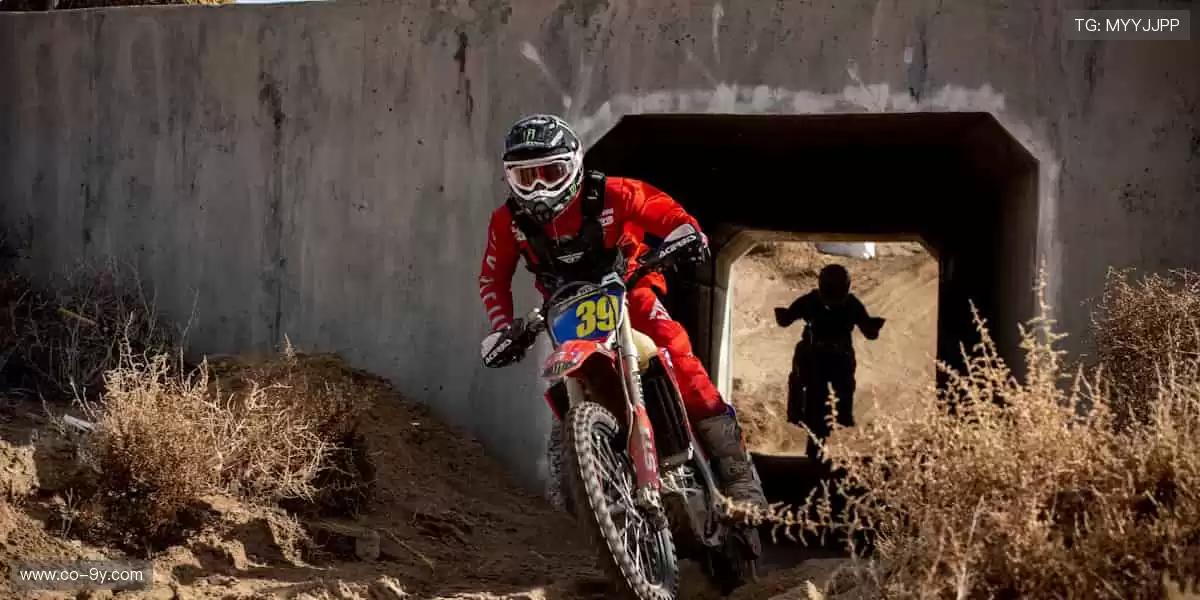 🏃♂️全民狂欢,每一步都是新纪录!🎉